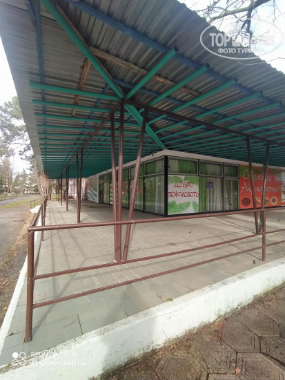 New photos from tourists Hotel Freedom