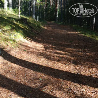 Photos Солониха