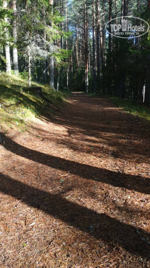 Photos Солониха