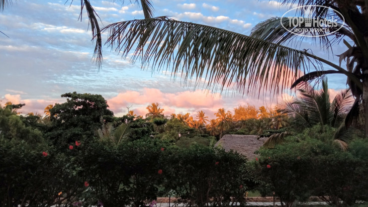 New photos from tourists Hotel Club Dongwe
