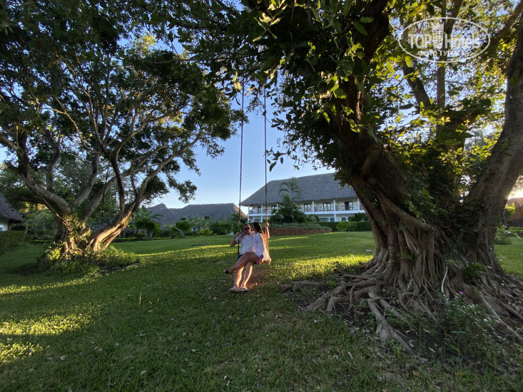 New photos from tourists Kiwengwa Beach Resort 5*