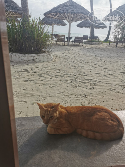 Hotelier's photos Savera Beach Houses