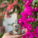 Фото Nish Caria Boutique Hotel
