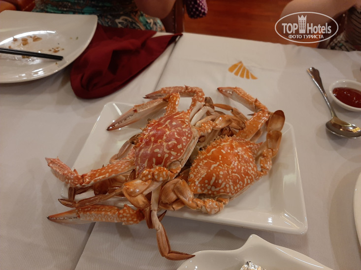 New photos from tourists Golden Cruise 5*