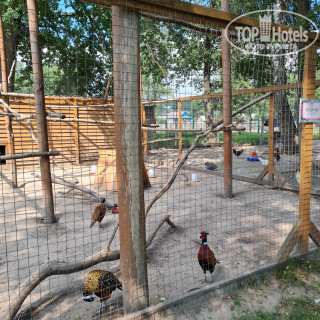 Photos КТК Лукоморье