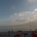 Photos Золотой шмель