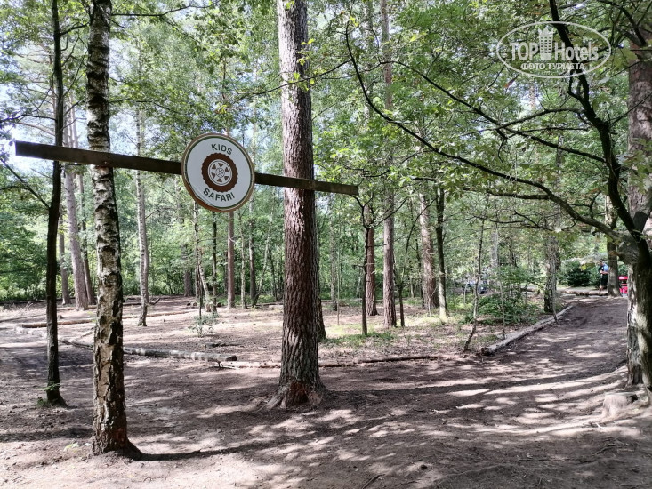 Hotelier's photos Center Parcs - Bispinger Heide 4*