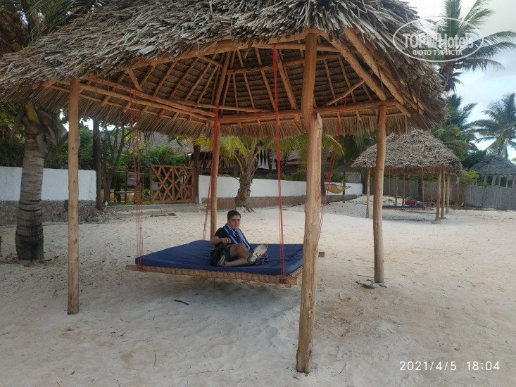 New photos from tourists Villa Dida Resort 4*