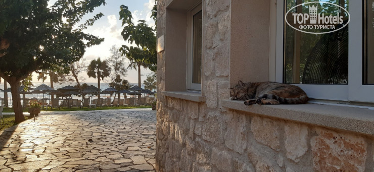 New photos from tourists St. George Hotel Spa & Golf Beach Resort 4*