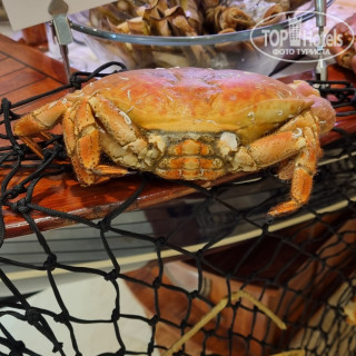 Фото TUI BLUE Orquidea