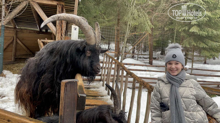New photos from tourists Запорожская Сечь