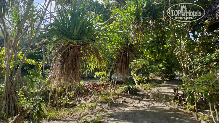 New photos from tourists Barefoot Zanzibar