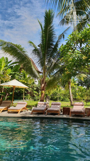 Photos Alaya Resort Ubud