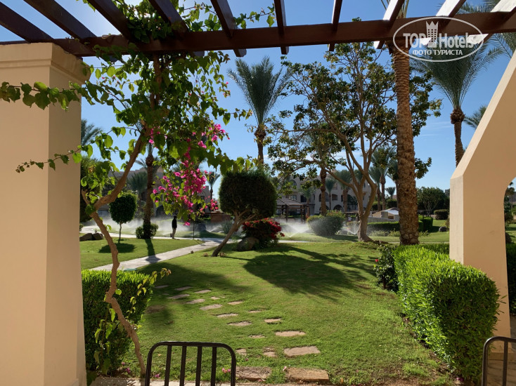 New photos from tourists Jaz Neo Saraya Palms 5*