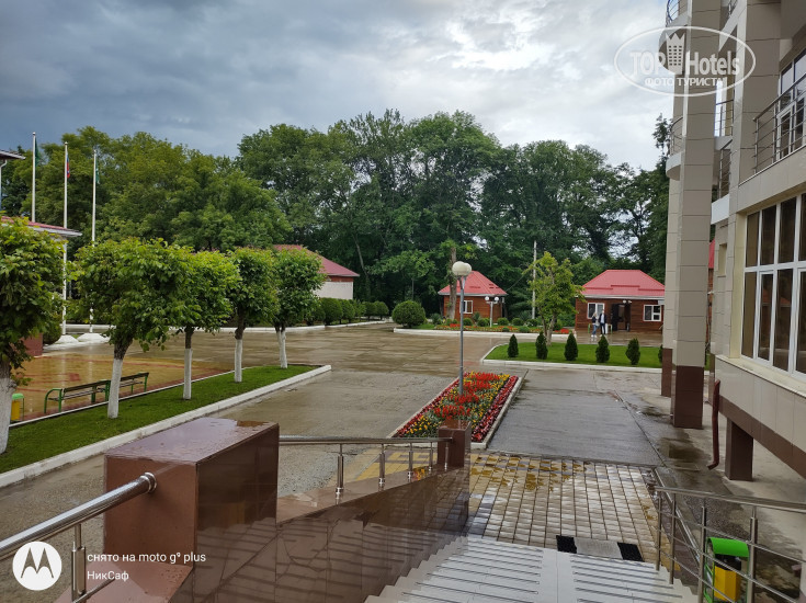 Photos Лесная сказка