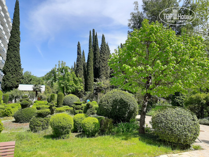 New photos from tourists Health Resort Znanie 3*
