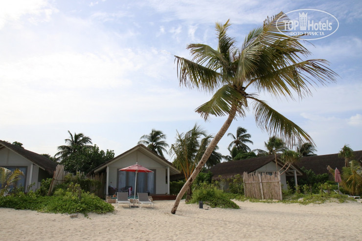 New photos from tourists Cora Cora Maldives 5*