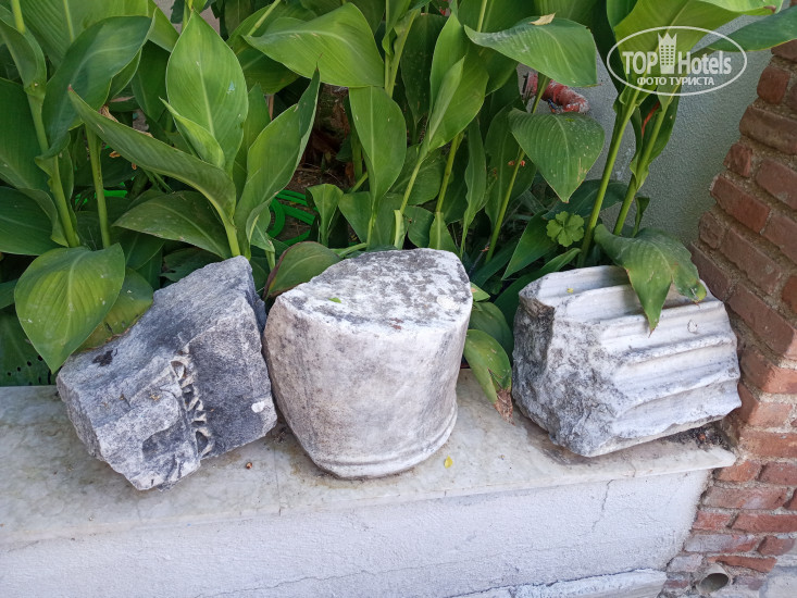 New photos from tourists Tropic On The Beach Hotel