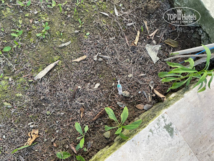 New photos from tourists Risus Garden Hotel