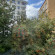 Photos Norke Казанский