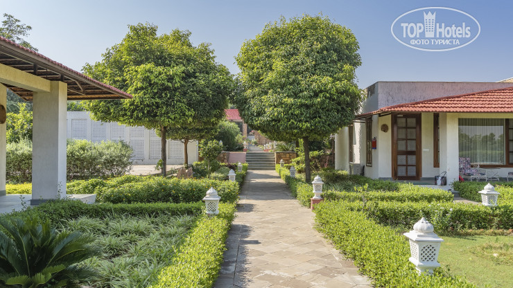 New photos from tourists Sariska Safari Lodge