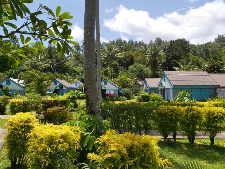 New photos from tourists The Beachouse