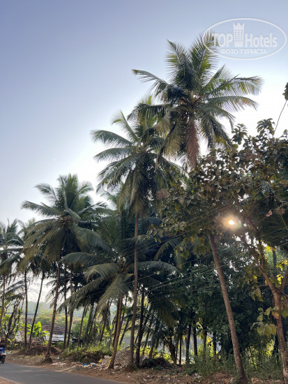 New photos from tourists Patnem Palolem Beach Park Apartment