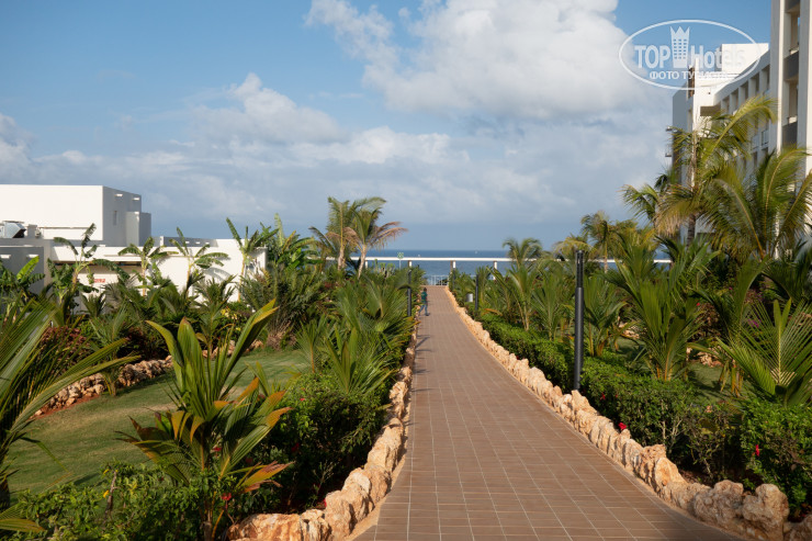 New photos from tourists RIU Jambo 4*