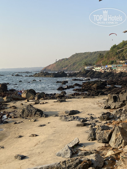 New photos from tourists Royal Neptunian Goa