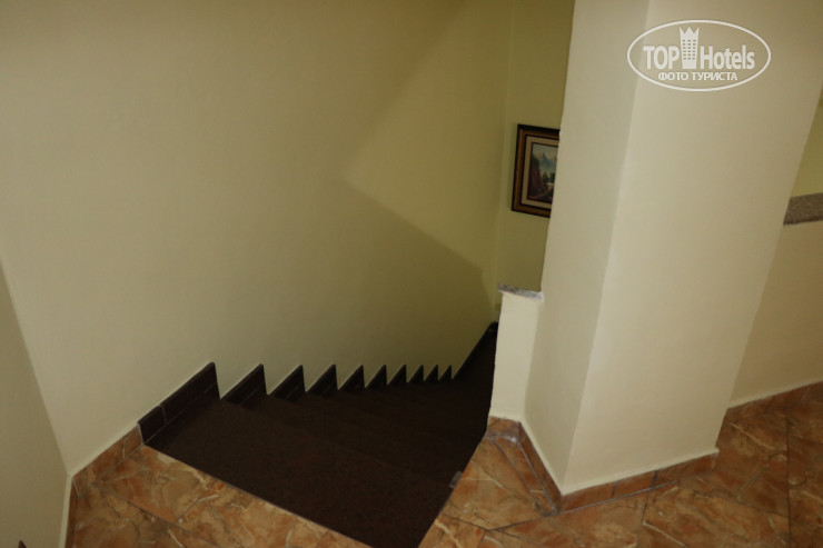 Фото Hotel Gega