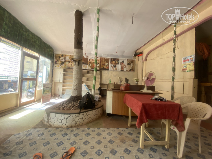 New photos from tourists Cactus Guesthouse