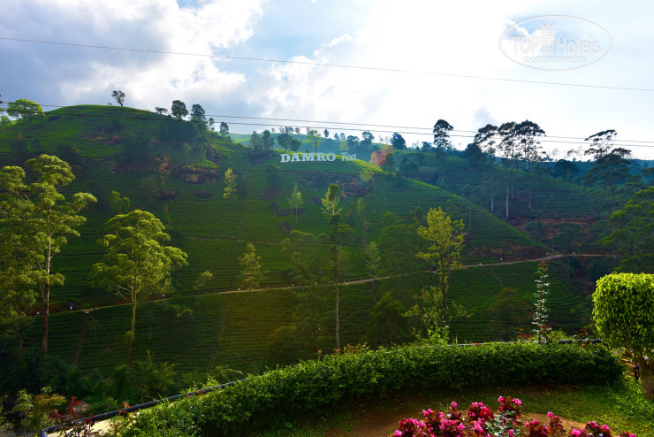 Hotelier's photos Oak Ray Regency 3*