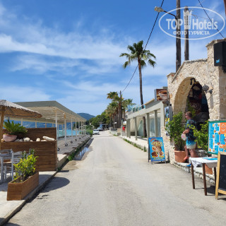 Photos White Olive Premium Cameo