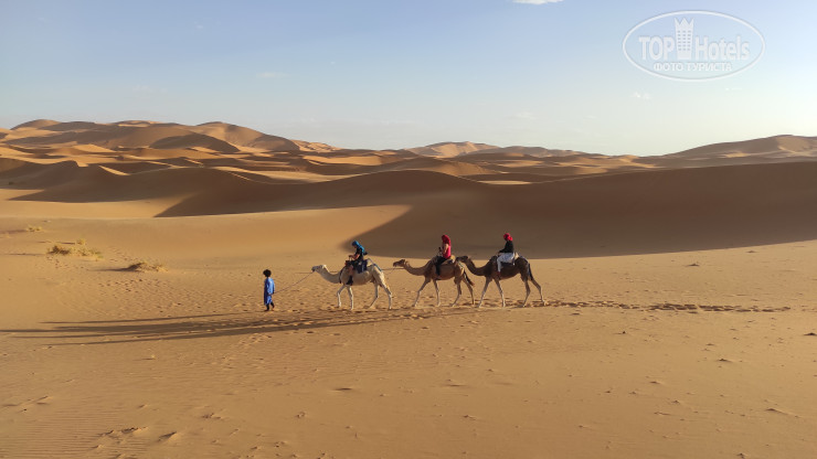 Hotelier's photos Borj Merzouga Luxury Camp