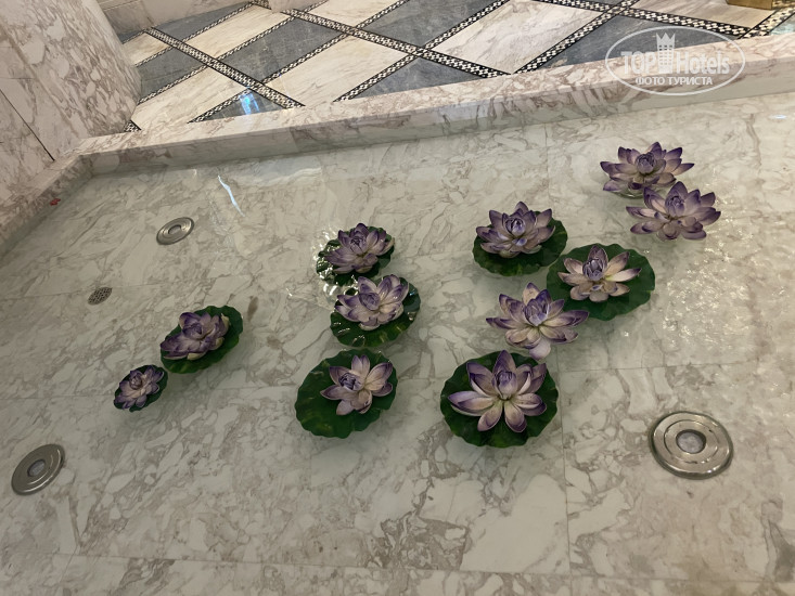 New photos from tourists Rixos Premium Saadiyat Island 5*