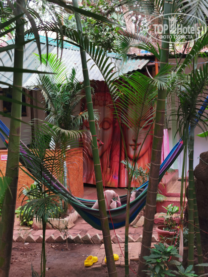 New photos from tourists Nature Of Arambol Guesthouse