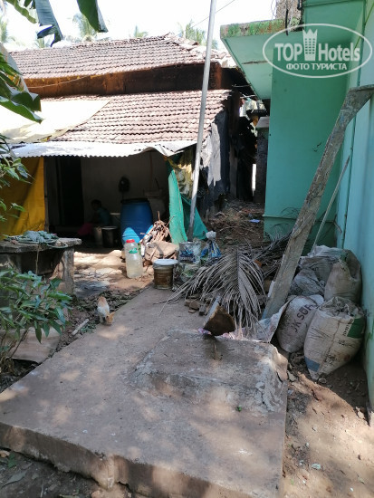 New photos from tourists Green View Morjim