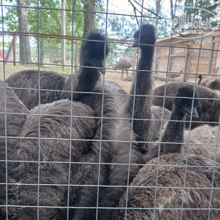 Фото Парк-отель Красновидово