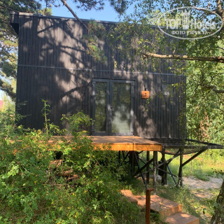 Фото Викингуд