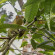 Photos Andasibe Lemurs Lodge