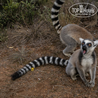 Фото Mantasoa Lodge