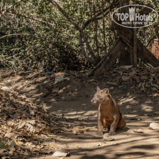 Photos Kimony Resort Hotel