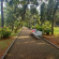 Фото Palito Palace