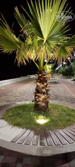 New photos from tourists Palito Palace