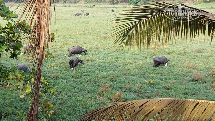 New photos from tourists Country View Cottage Guesthouse