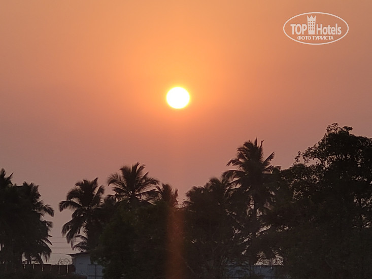 New photos from tourists Salcete Beach Resort 4*