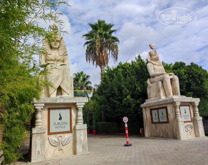 New photos from tourists Amon Hotels 4*