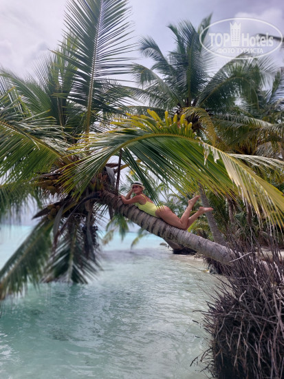 Hotel photo PERLA Dhangethi 