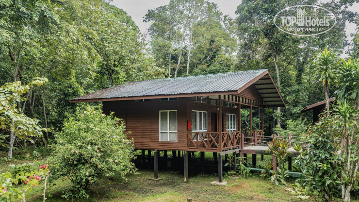 Фото Borneo Nature Lodge