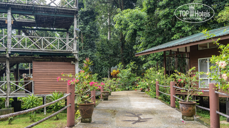 Hotel photo Borneo Nature Lodge 2*